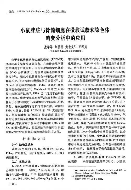 小鼠脾脏与骨髓细胞在微核试验和染色体畸变分析中的应用