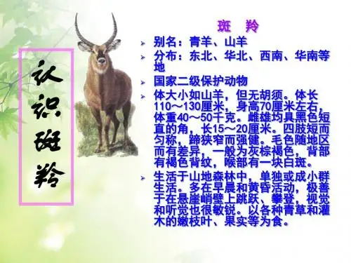 斑羚飞渡PPT208 人教版 (共55张PPT)