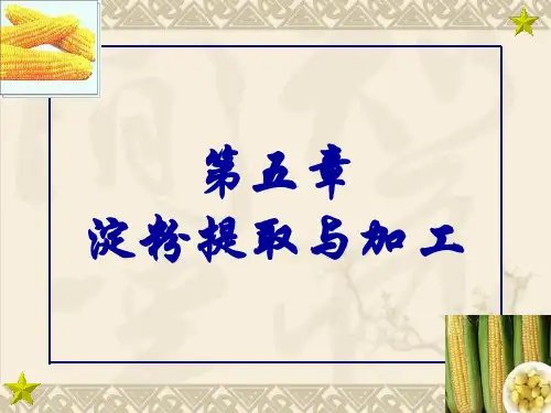 淀粉提取与加工