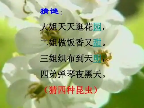 18.绿色蝈蝈(讲)