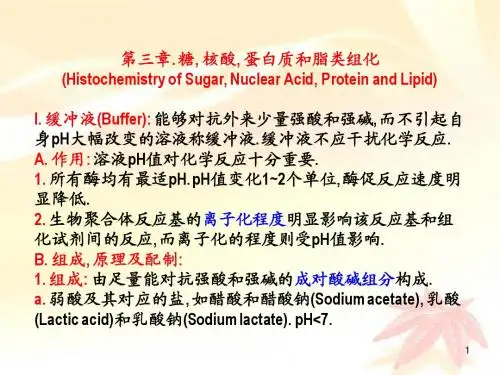 03 糖核酸蛋白质和脂类组化