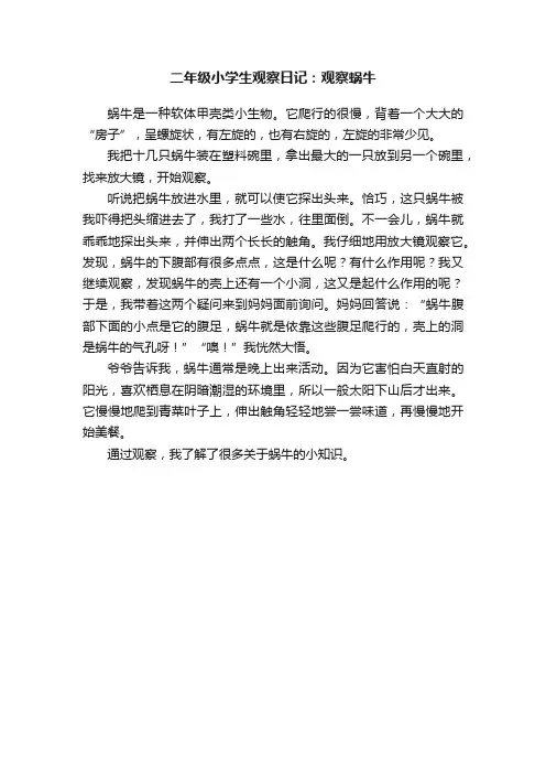 二年级小学生观察日记：观察蜗牛