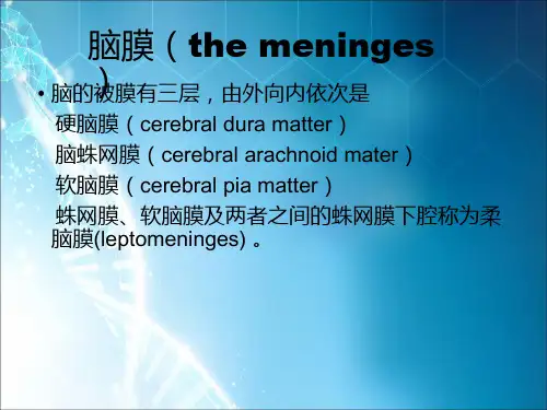 脑膜瘤ppt课件
