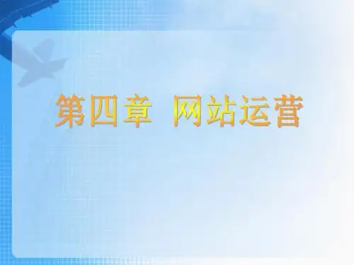 电子商务和网络营销—— 网站运营课件-PPT精选文档