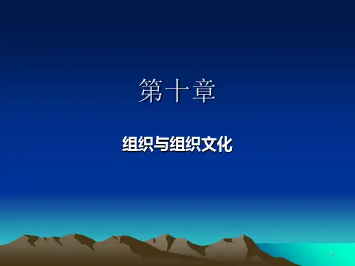 第十章组织与组织文化
