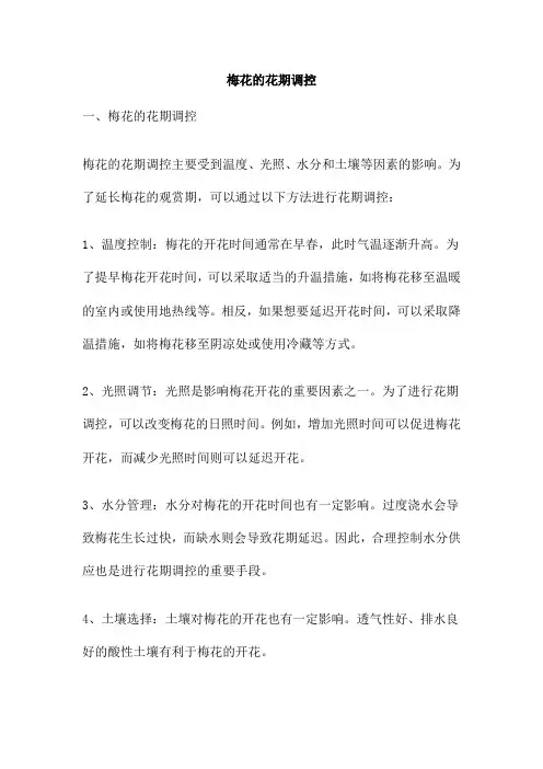 梅花的花期调控