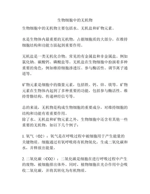 生物细胞中的无机物
