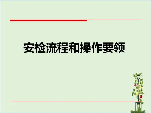 安检流程和注意事项