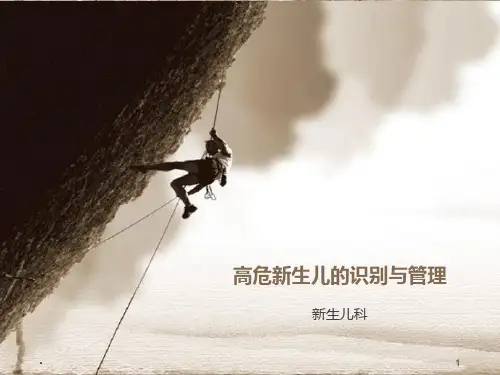 高危儿识别与管理PPT课件