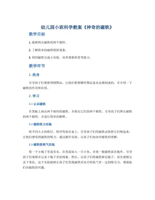 幼儿园小班科学教案《神奇的磁铁》