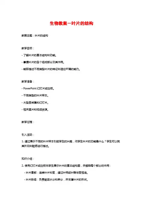 生物教案-叶片的结构