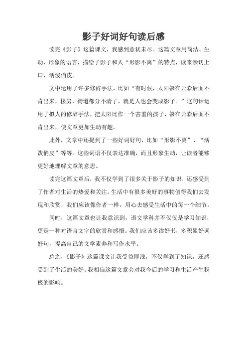 影子好词好句读后感