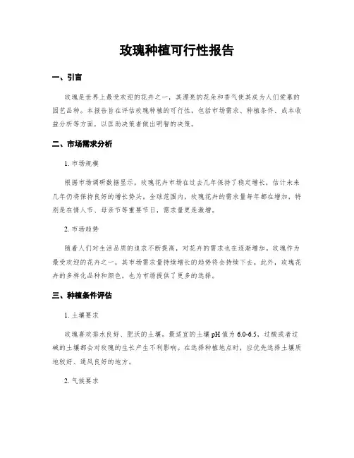 玫瑰种植可行性报告