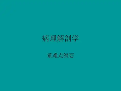 病理解剖学各章重难点课件