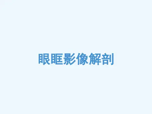 眼眶影像解剖 (100页)