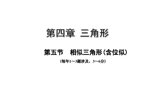 第五节  相似三角形(含位似)  【九年级 中考数学复习】