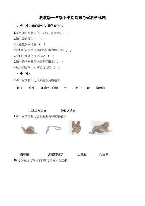 【科教版】一年级下册科学《期末考试试卷》(含答案)