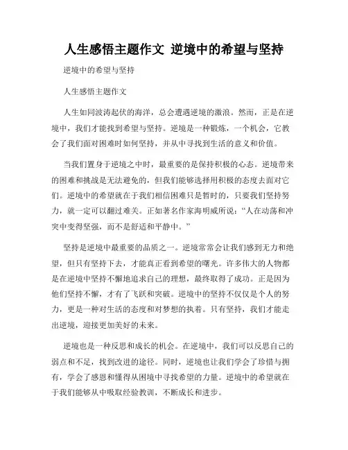 人生感悟主题作文  逆境中的希望与坚持