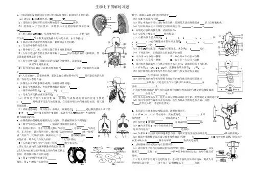 2017年七年级下册生物图形题复习