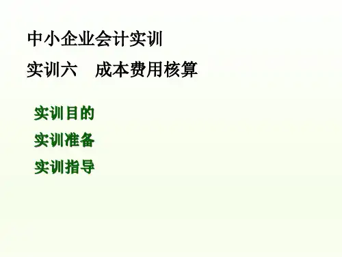 中小企业会计实训六 成本费用核算