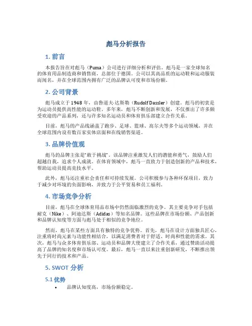 彪马分析报告