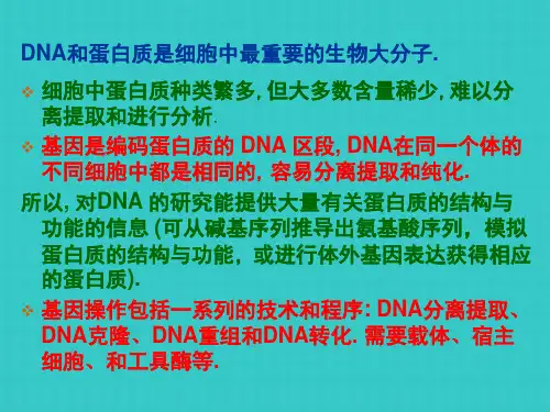 基因操作技术