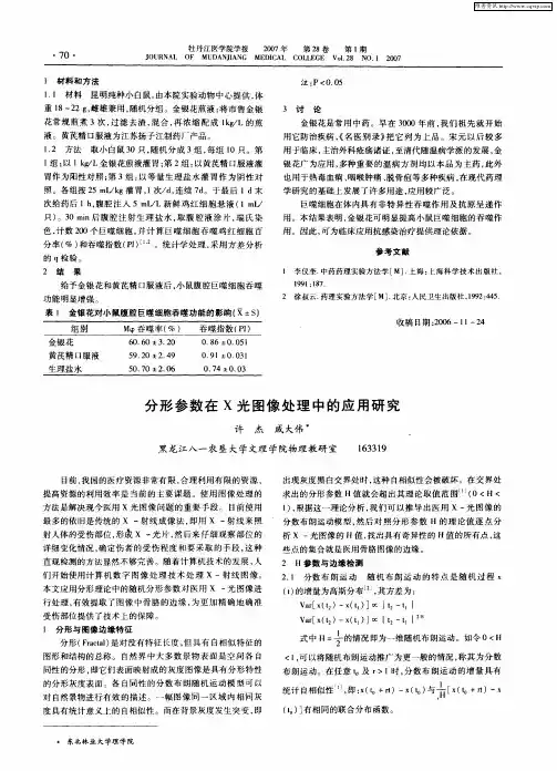 分形参数在X光图像处理中的应用研究