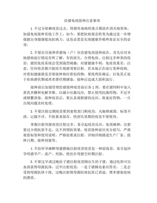 给猪免疫接种注意事项