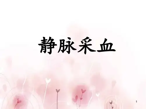 静脉采血ppt课件