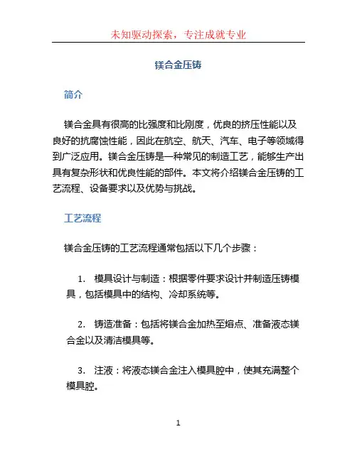 镁合金压铸 (2)