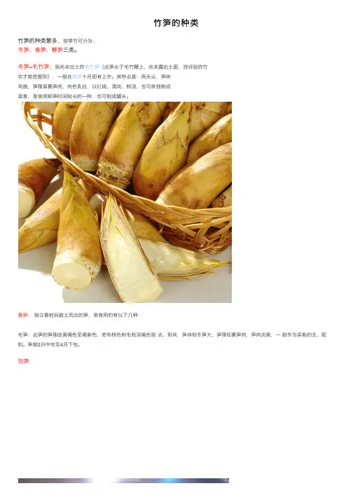 竹笋的种类——精选推荐