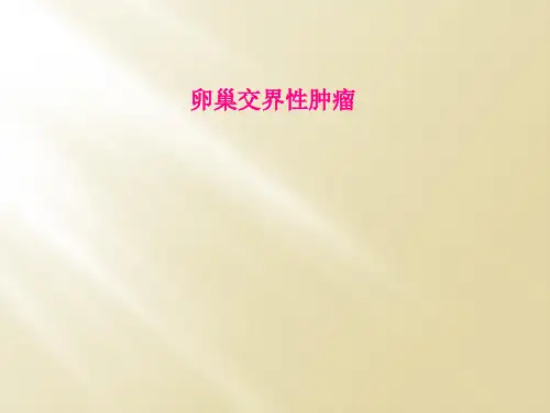 卵巢交界性肿瘤