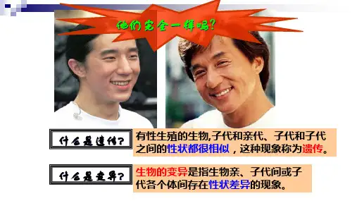 基因突变和基因重组课件高一下学期生物人教版必修2