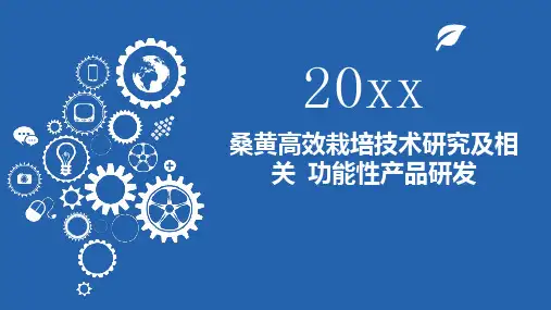桑黄高效栽培技术研究及相关功能性产品研发
