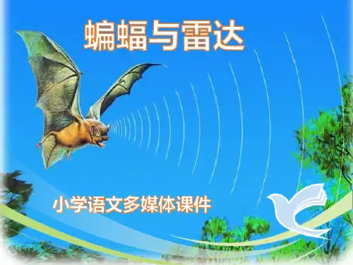 《蝙蝠与雷达》ppt课件最新完整版