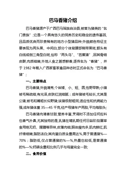 巴马香猪介绍
