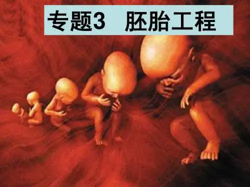 3.1体内受精和早期胚胎发育