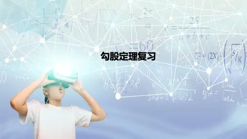 鲁教版七年级数学上册第三章勾股定理复习