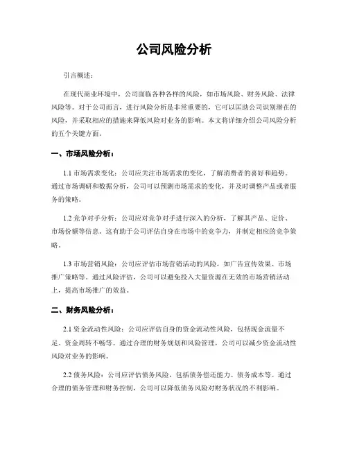 公司风险分析