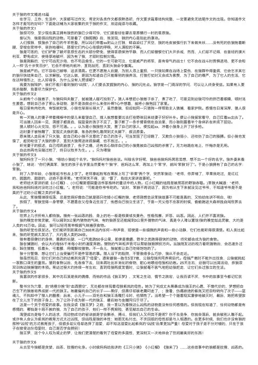 关于狼的作文精选15篇