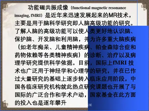 功能磁共振技术现状与发展