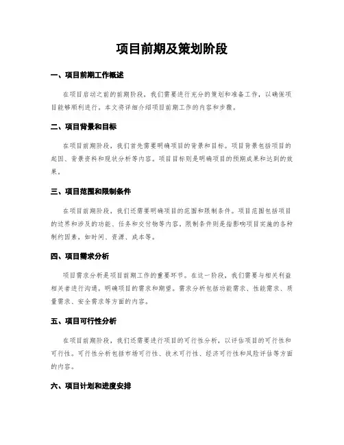 项目前期及策划阶段