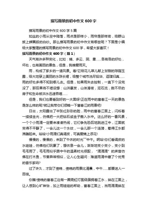 描写雨景的初中作文600字