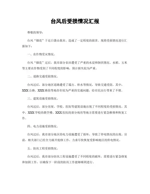 台风后受损情况汇报