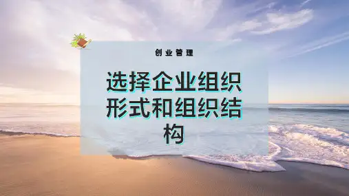 选择企业组织形式和组织结构