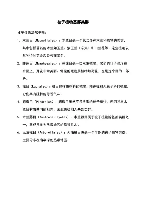 被子植物基部类群