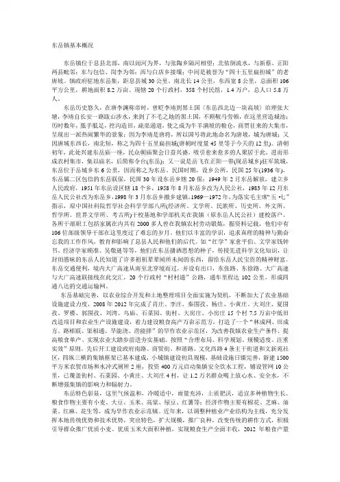 河南省信阳市息县东岳镇