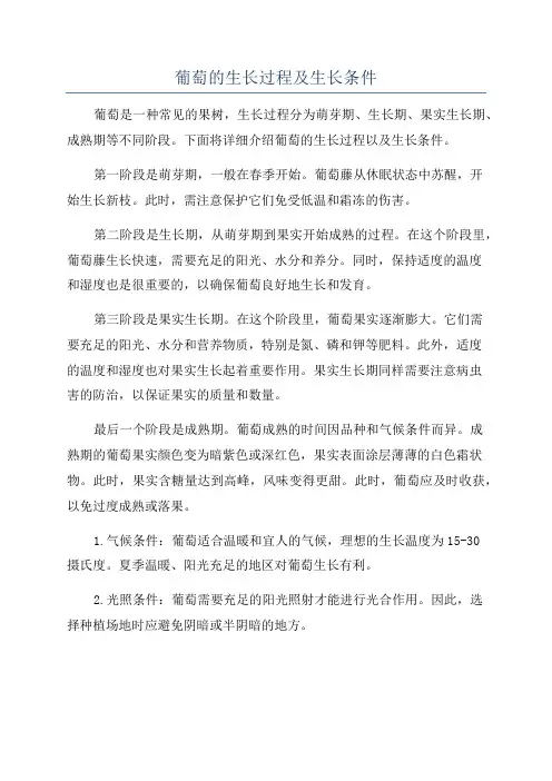 葡萄的生长过程及生长条件