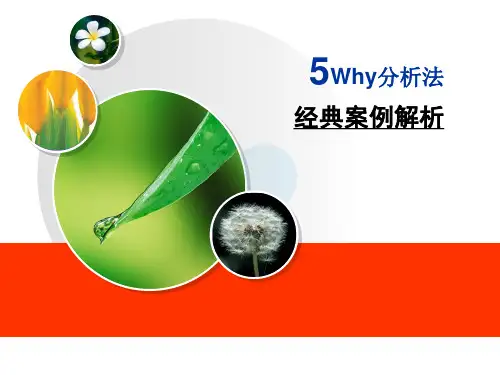 5Why 分析法