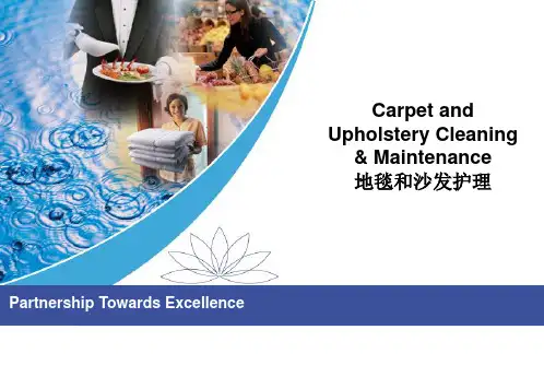 地毯和布艺沙发清洁培训